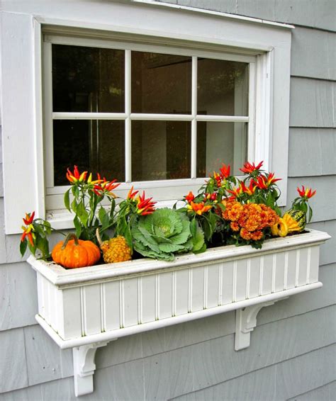 fall window box designs